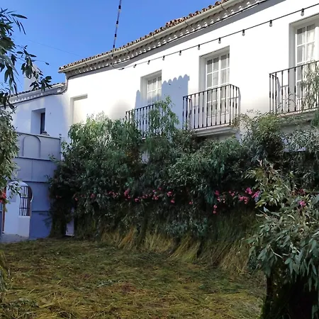 Apartment Antonia